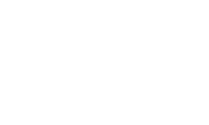 Qibit